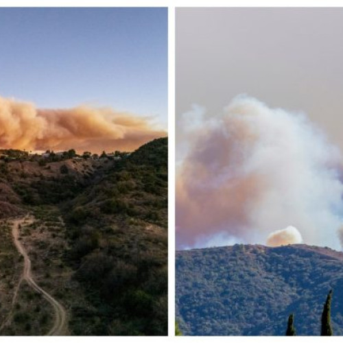 Aproximativ 1.000 de civili uciși în violențele recente din Siria