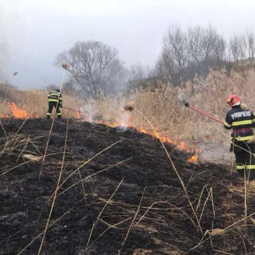 Incendiu de vegetație uscată la Mandra, județul Brașov