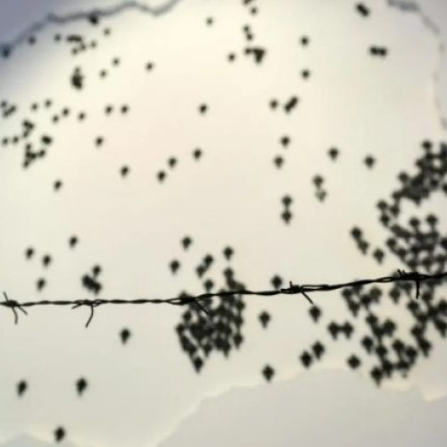 Ziua Detașamentului Politic Anticomunist, sărbătorită pe 9 martie