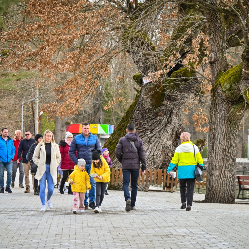 Primăria Sibiu reia licitația pentru magazinul de suveniruri de la Zoo