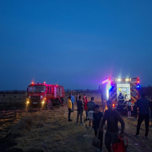 Incendiu de vegetație în Somcuta Mare, peste 45 de hectare afectate