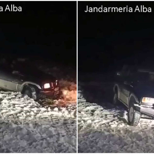 Jandarmii montani din Arieseni au salvat patru persoane blocate