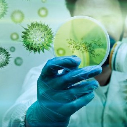 Un antibiotic pentru afecțiuni hepatice crește riscul de superbacterie