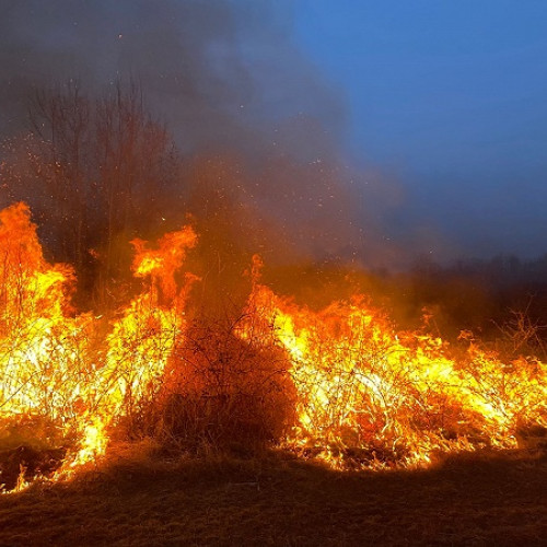 Incendii de vegetație în județul Satu Mare