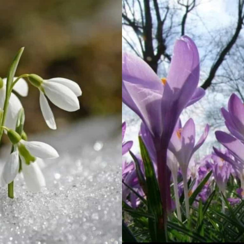 Vremea în Transilvania și în țară până în 23 martie