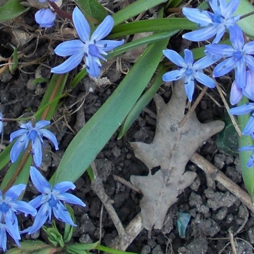 Prognoza meteo pentru perioada 10-23 martie