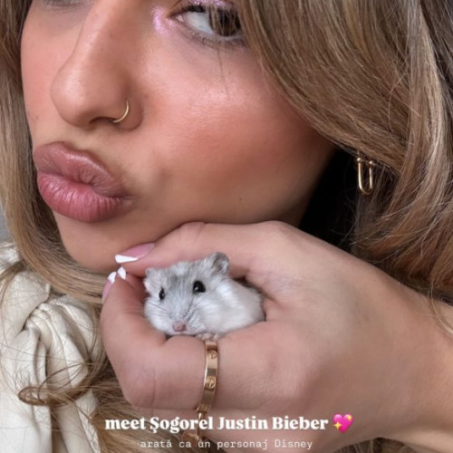 Irina Manea și familia ei au adoptat un nou membru: un hamster adorabil