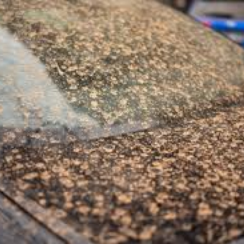 Aerul saharian va afecta România în următoarele zile