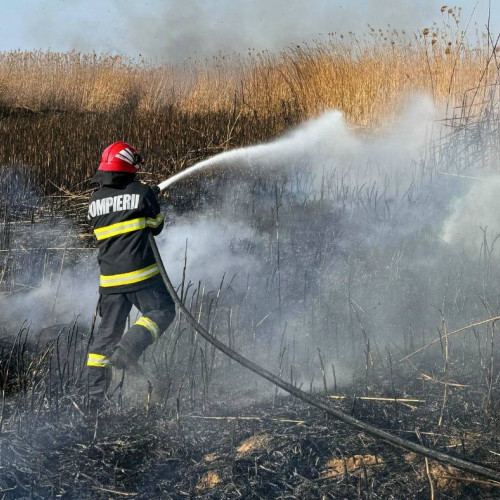Incendiu de vegetație în comuna Malu cu Flori