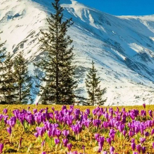 Vremea caldă va continua să bucure locuitorii din Dâmbovița