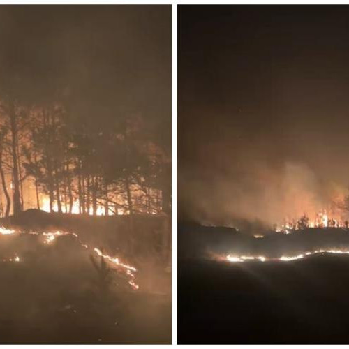 Incendii de vegetație în mai multe localități din județul Cluj