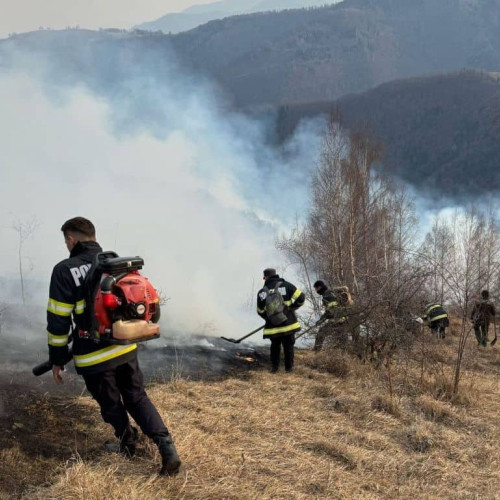 Incendii devastatoare în Alba: Peste 250 de hectare afectate