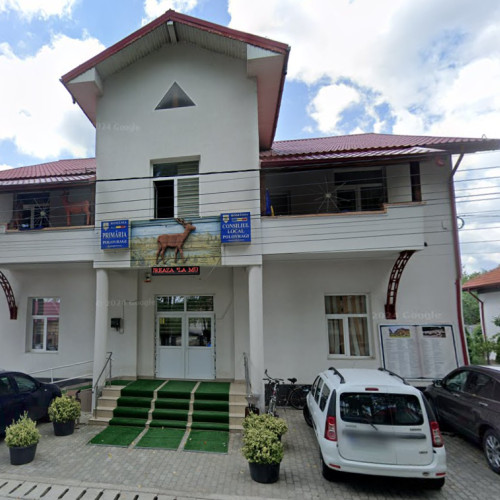 Probleme cu câinii fără stăpân în comuna Polovragi