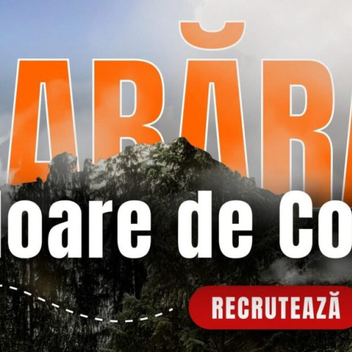 Tabăra "Floare de Colt" caută membri noi pentru echipă