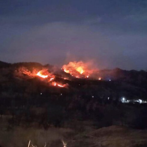 Incendiu în comuna Dumitresti: 20 de hectare distruse