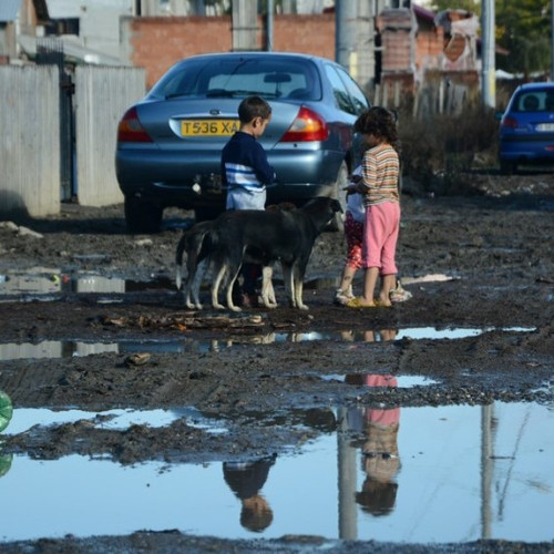 Toleranța la alergeni în rândul copiilor, explicată de un specialist