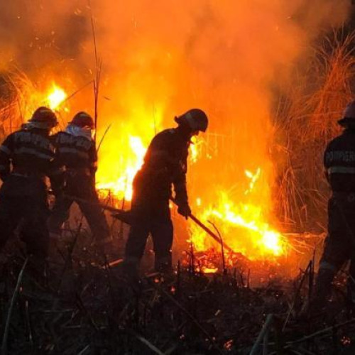 Incendii de vegetație în județul Cluj