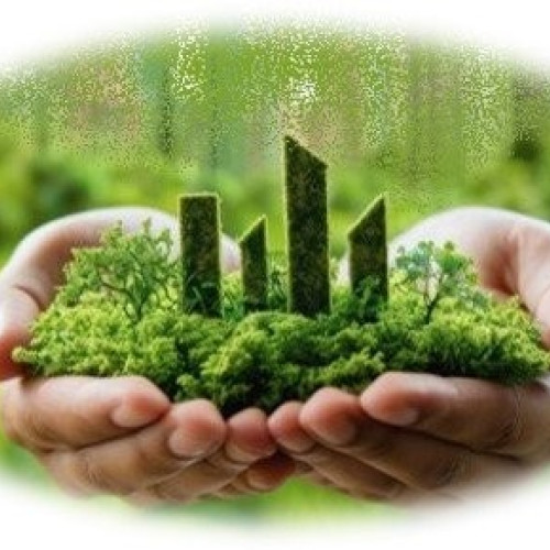 Primăria Municipiului Arad lansează proiectul "Adoptă un spațiu verde"