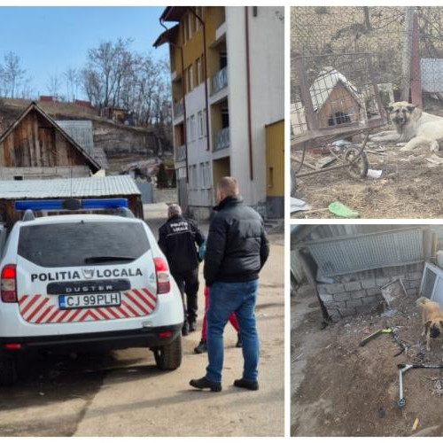 Atac cu câini în Huedin: O femeie victima unei haite de 11 animale