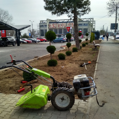 Spațiu verde defrișat pe scuarul străzii Stadionului