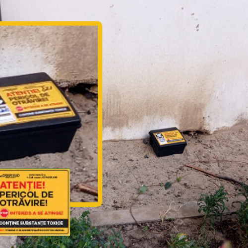 RER SUD desfășoară deratizarea în Buzău