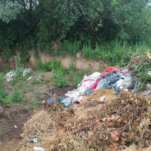 Cetățeanca din Cluj-Napoca cere autorităților să acționeze împotriva taberelor improvizate