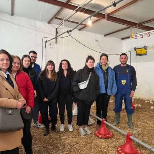 Universitatea din Oradea se implică într-un nou proiect internațional