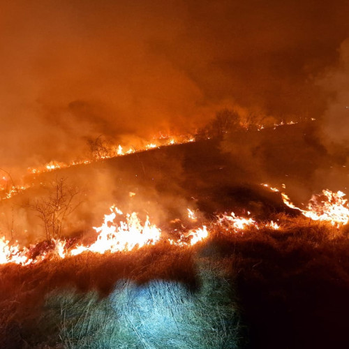 Incendii devastatoare în județul Botoșani: mai multe hectare de vegetație distruse