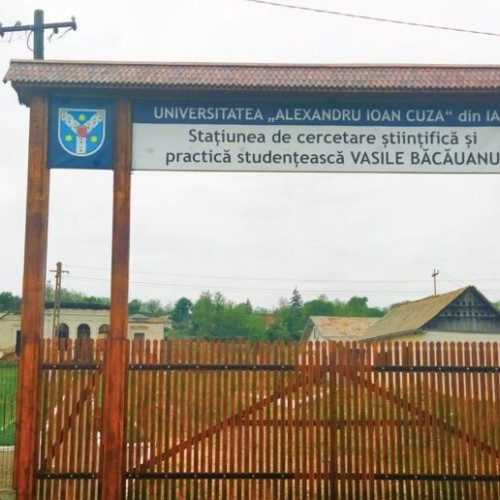 Universitatea "Alexandru Ioan Cuza" din Iași investește în cazarea studenților