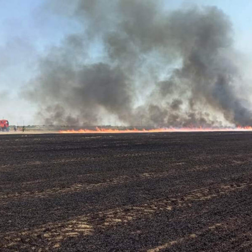 Fermierii din Vrancea, atenționati asupra interdicției de ardere a miristilor și vegetației