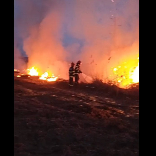 Incendiu de vegetație uscată la Alba Iulia