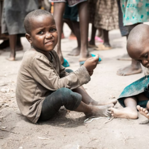 ONU suspendă proiectele de ajutor din cauza tăierii finanțării de către SUA