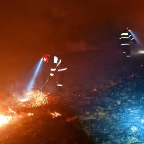 Incendii în creștere în Botoșani, în februarie