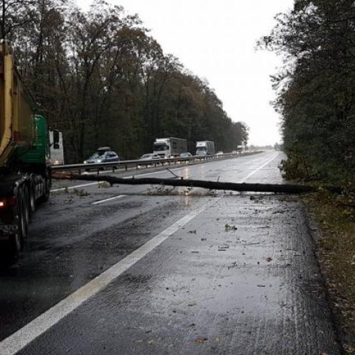 Furtuna devastatoare în Cluj