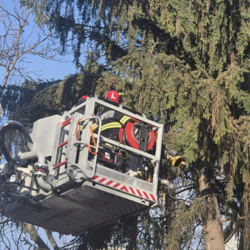 Vântul puternic a creat situații de urgență în Botoșani