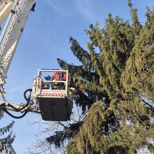 Vânt puternic provoacă probleme la Botoșani