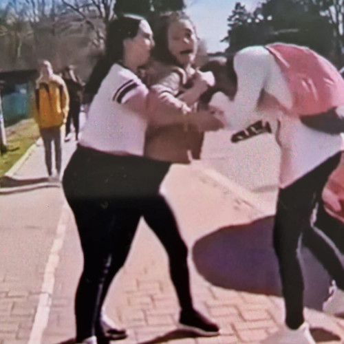 Incident violent între eleve în Dorohoi, Botoșani