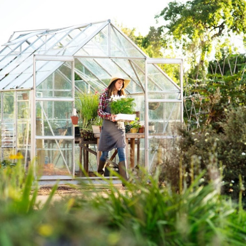 Crearea unei sere de grădină: Ghid pentru cultivarea plantelor aromatice și legumelor