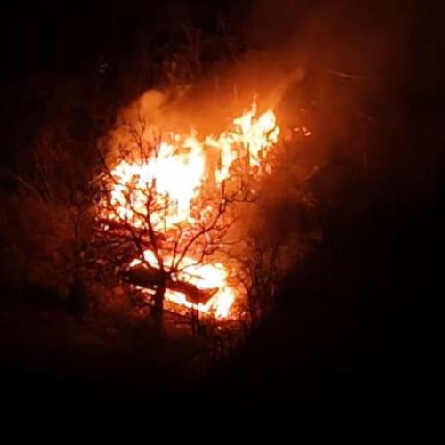 Incendiu devastator în Cluj-Napoca: o locuință a fost distrusă complet