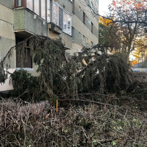 Fenomene meteorologice periculoase afectează Maramureșul