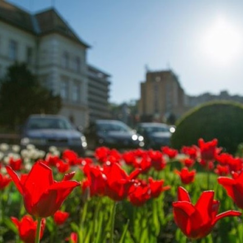 ANM anunță prognoza meteo pentru perioada 17 martie - 14 aprilie