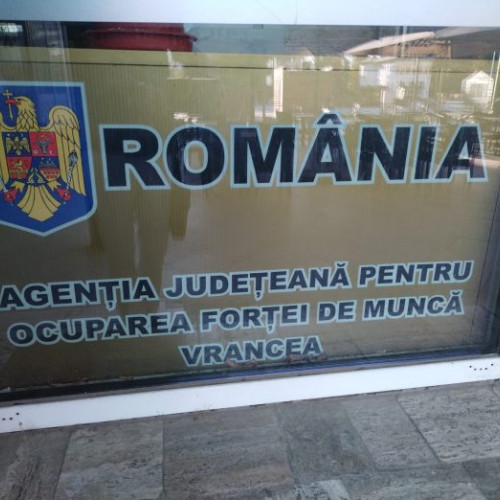 Disponibile 177 locuri de muncă în Vrancea