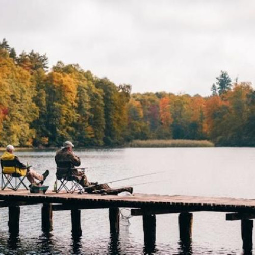 Pescuitul cu method feeder la specii rapitoare - o tehnică controversată