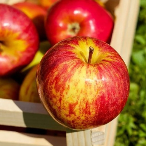 Beneficiile consumului de mere pentru sănătate