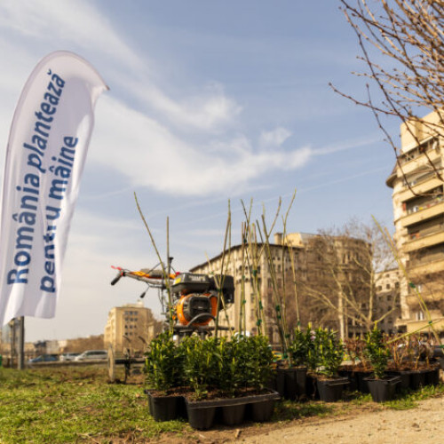 Revitalizarea malurilor Dâmboviței cu peste două mii de arbori și plante perene