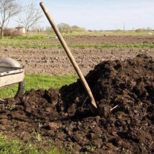 Fermierii din Botoșani pot aplica fertilizanți