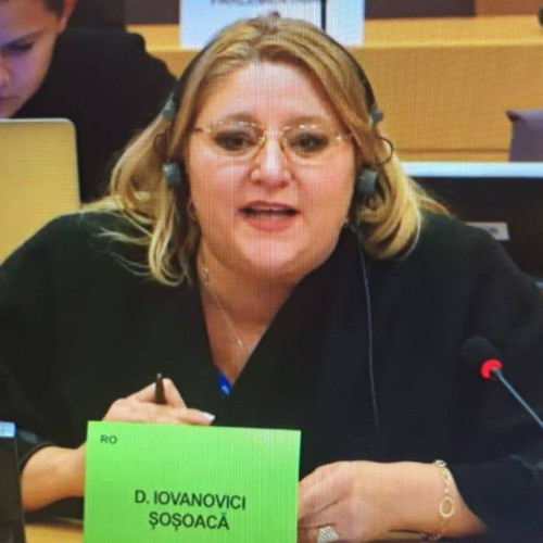 Diana Sosoaca nu a fost acceptată ca și candidat la prezidențiale