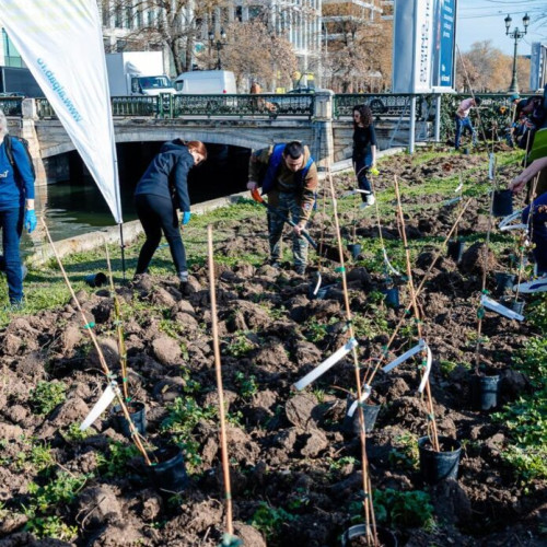 Activități de ecologizare pe Dâmbovița de Ziua Internațională a Raurilor