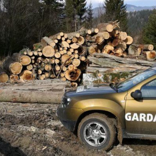 Firma din comuna Iara amendată pentru nereguli în depozitarea lemnului