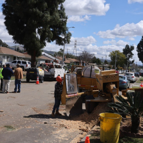 Bilantul mortilor in urma tornadelor din Statele Unite a ajuns la 33